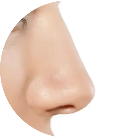 Terceira Imagem 2